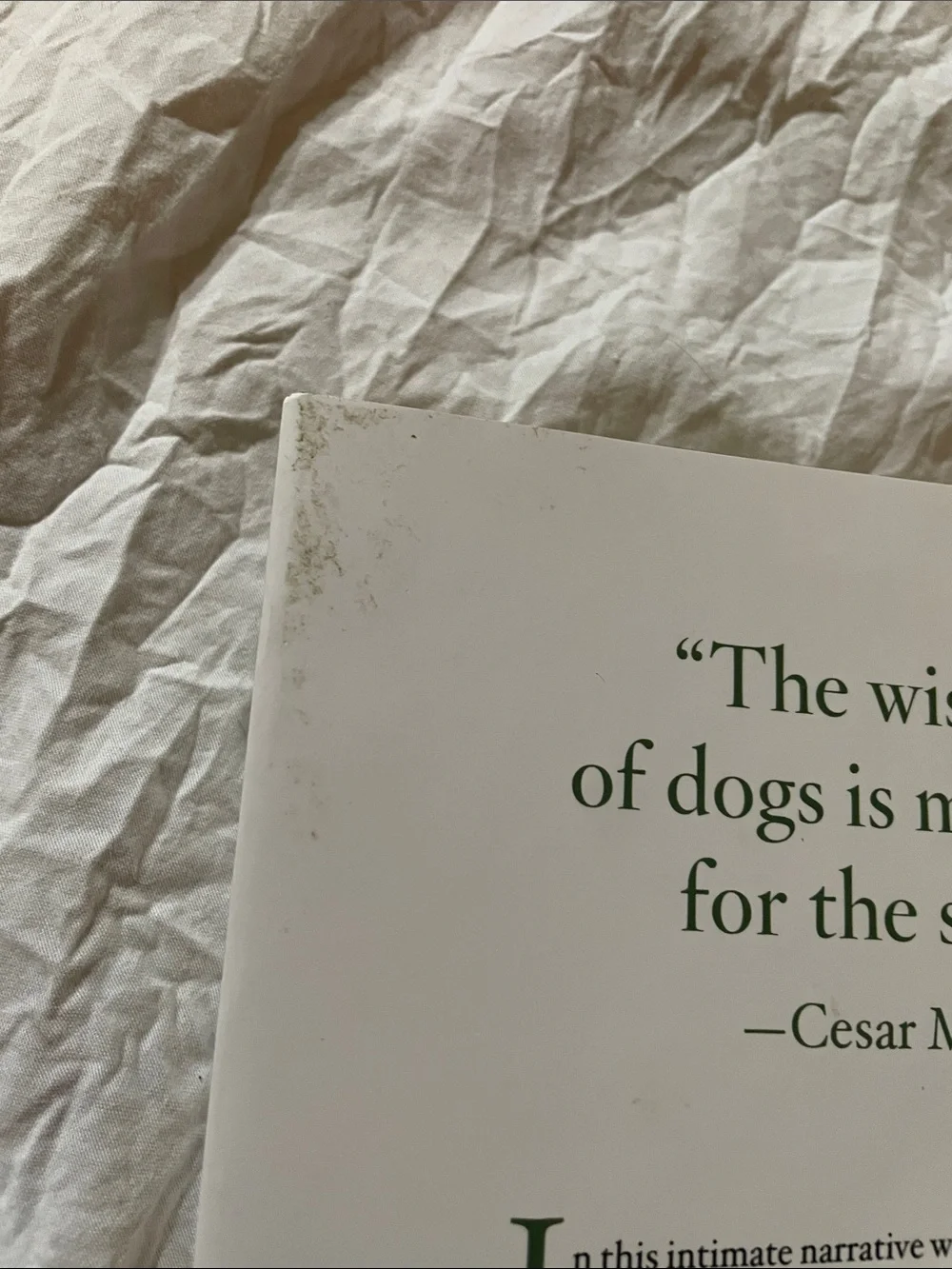 Lessons From The Pack Hardcover by Cesar Millan
